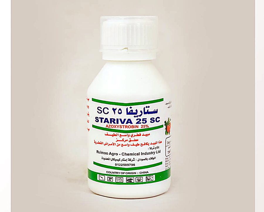 ستاريفا 25